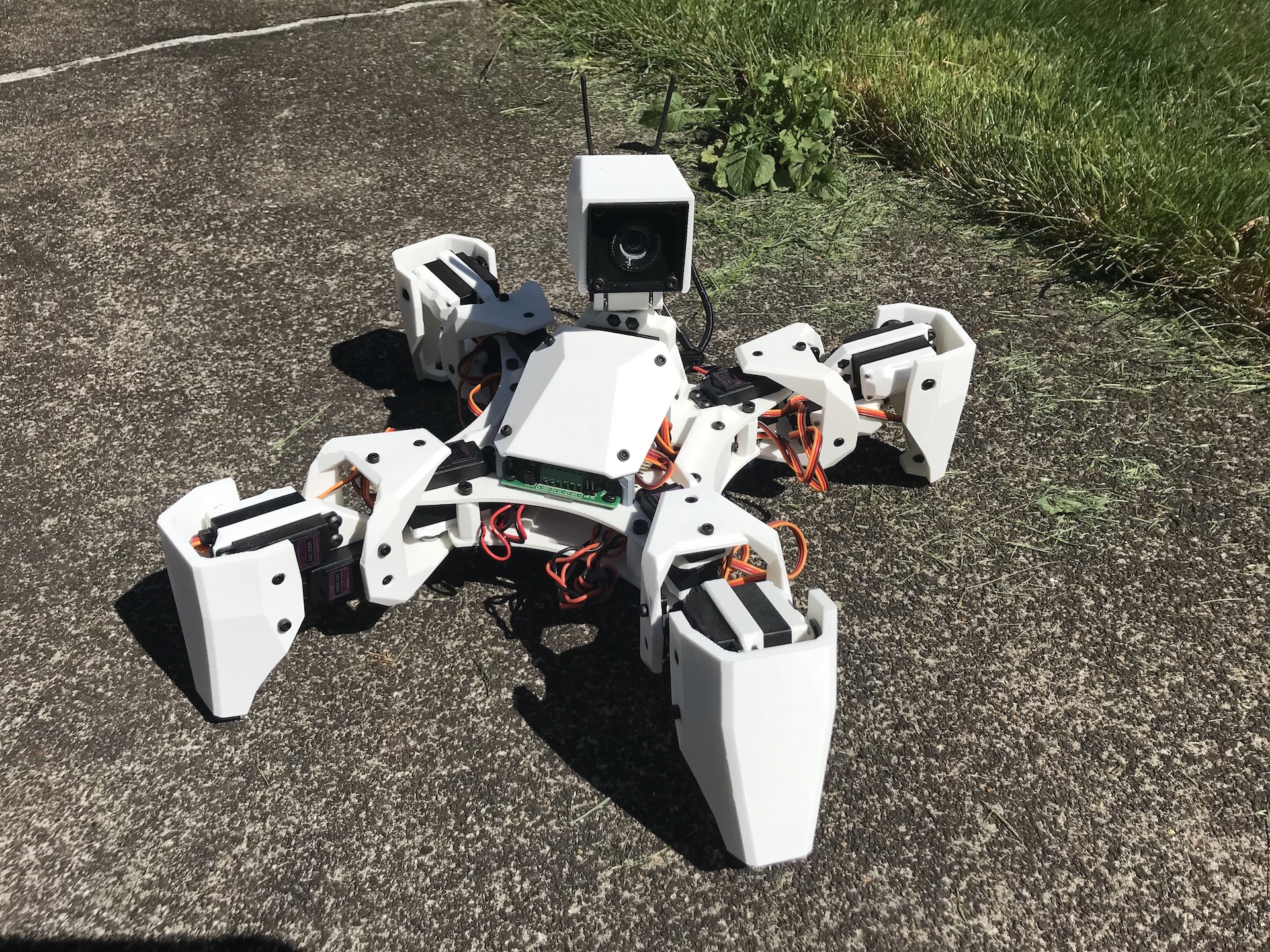 Quadruped Robot